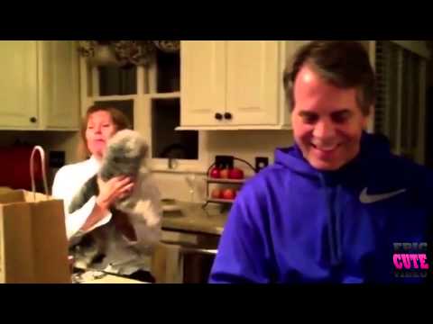 Moms Funny Reaction To Pregnancy News