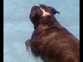 my baby swimmin;)