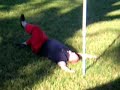 Ole Miss Lineman Falls