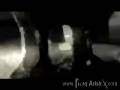 videos de Wooden Lions
