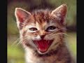 Les Chatons-vampires