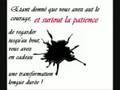 Les Chatons-vampires