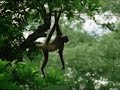 PAISAJES DE CHIAPAS