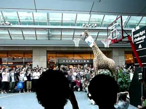 Japan: Dwight Howard Giraffe Dunk