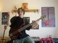 Primus' Tommy the Cat on bass - LRRG