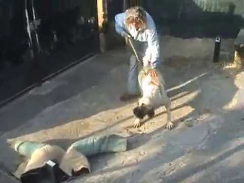 fila brasileiro