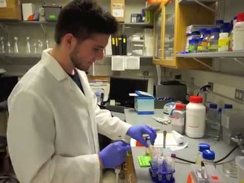 how to isolate vesicles