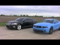 Livernois Tuned 2010 Taurus SHO vs 2011 5.0 Mustang GT