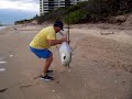 permit from the surf permit from the surf