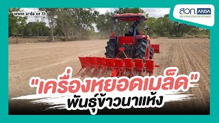  Seeding machine in dry rice field