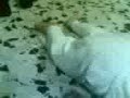 cool baby   طفل بجنن