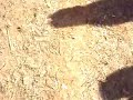 Thumbnail #3