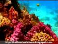 videos de Thailand Welcome 15 Diving