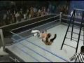 Smackdown vs Raw 2010 Ladder Highlight Video