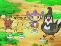 Ashs Pkmn are Bouncing off the Ceiling Ashs Pkmn are Bouncing off the Ceiling