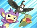 Ashs Pkmn are Bouncing off the Ceiling Ashs Pkmn are Bouncing off the Ceiling