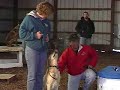 Clips of training in Las Vegas and Denver -Sit Means Sit