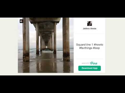 how to embed vine videos