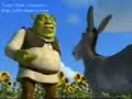 sherek-t-rkish-version-.html