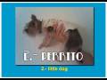 El control remoto que no se pierde
