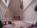 furby has a fall furby has a fall