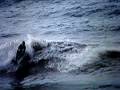 videos de A. Frias bodyboarding