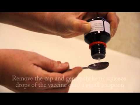how to cure lbm of dogs