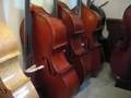 Introduction to The Contrabass Shoppe