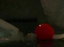 Beluga and the Bouy 1