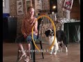 Terapia Assistita con Animali - ( Centro Studi del Cane ) Terapia Assistita con Animali - ( Centro Studi del Cane )