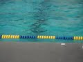 the game winning goal by ucla's ben hohl.
ucla 11 - cal 10

25 oct 2008