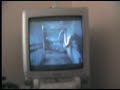 ThE DaRkNeSs GaMpLaY!!!!!
