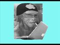 intro to music video