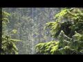 2000 Foot Zipline