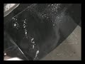 This is a video i did for my senior project in school.