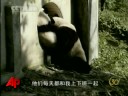 Raw Video: Pandas Headed to Taiwan Raw Video: Pandas Headed to Taiwan