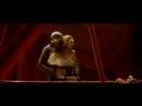 For My Pain - Autumn Harmony - Erik and Christine