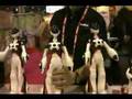 videos de Femine Robot Toy for Girls