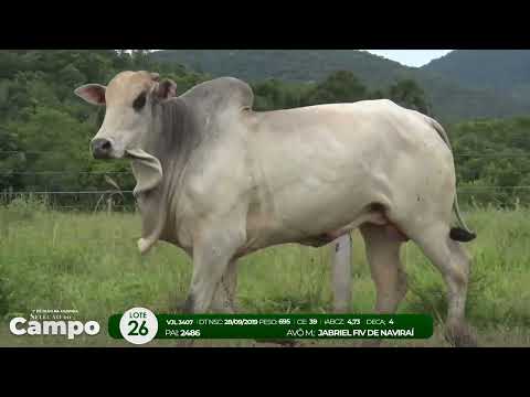 1 De Olho na Fazenda SELEO DO CAMPO