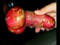 FUNNY INCREDIBLE!!! THE SEXY SIDE OF NATURE