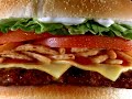 Burger King Steakhouse Commercial - Guy Rams Car
