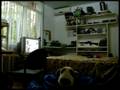 Ghost dogs