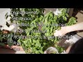 Receta Italiana Pasta al Pesto - Mi Preferida!