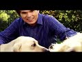 The Darkest Evening of the Year book trailer (paperback)
