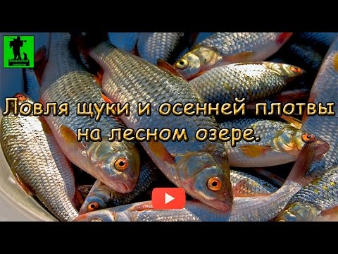 рыбалка на копанском озере осенью рыбалка на копанском озере осенью
