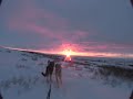 mushing into the morning
