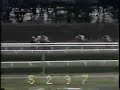 Seattle Slew - 1977 Belmont Stakes