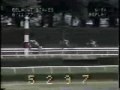 Seattle Slew - 1977 Belmont Stakes