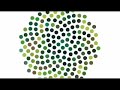 cern large hadron collider  lhc 