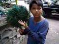 videos de lingo kid.flv